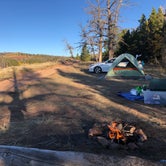 Review photo of Pole Mountain Dispersed Camping by Jill Armando G., October 10, 2021