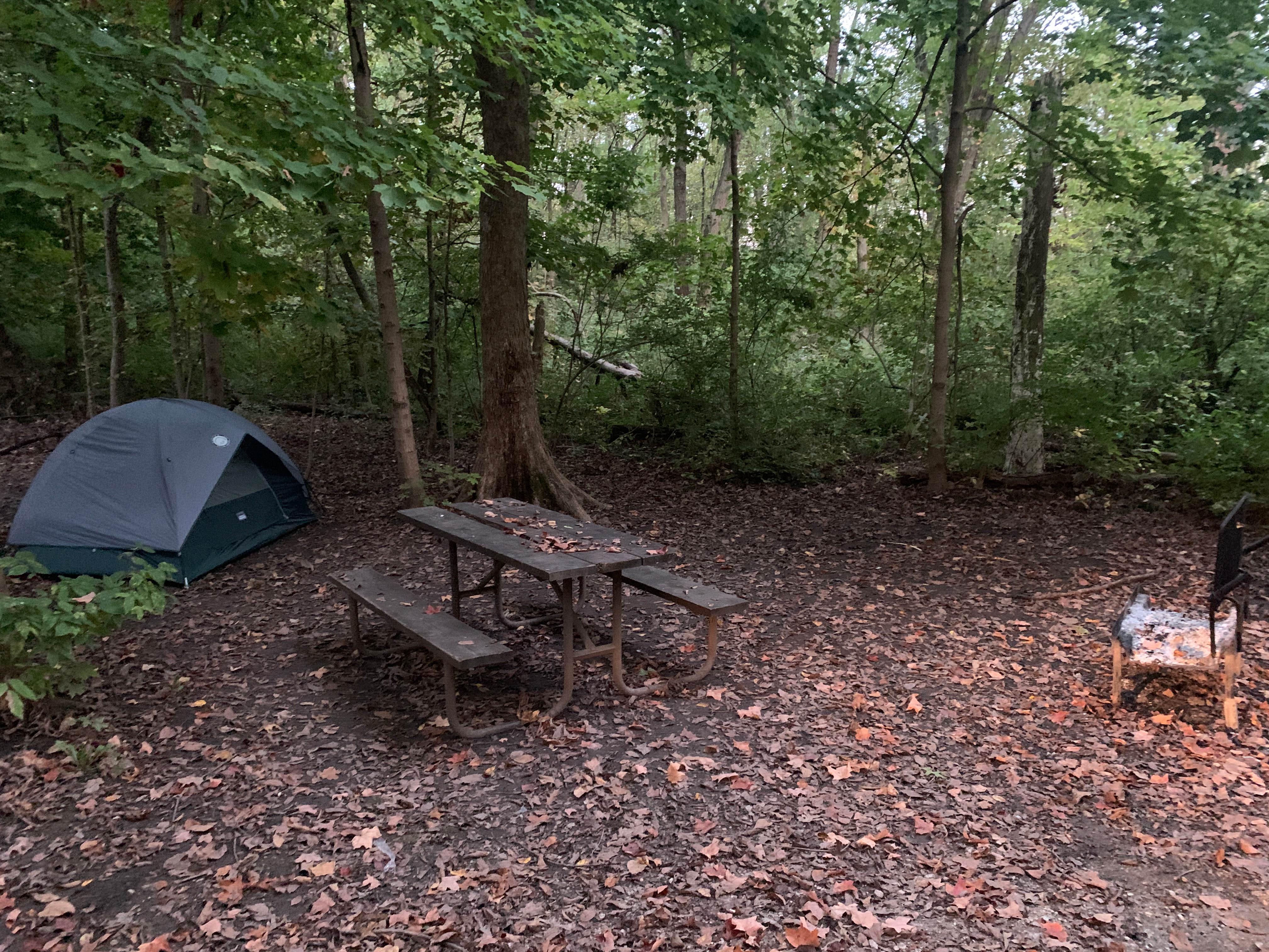 William S.'s photo at Whitetail Campground — Illini State Park near Streator, IL