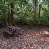 Review photo of Whitetail Campground — Illini State Park by William S., October 11, 2021