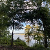 Review photo of Chickahominy Riverfront Park by Joel R., October 11, 2021