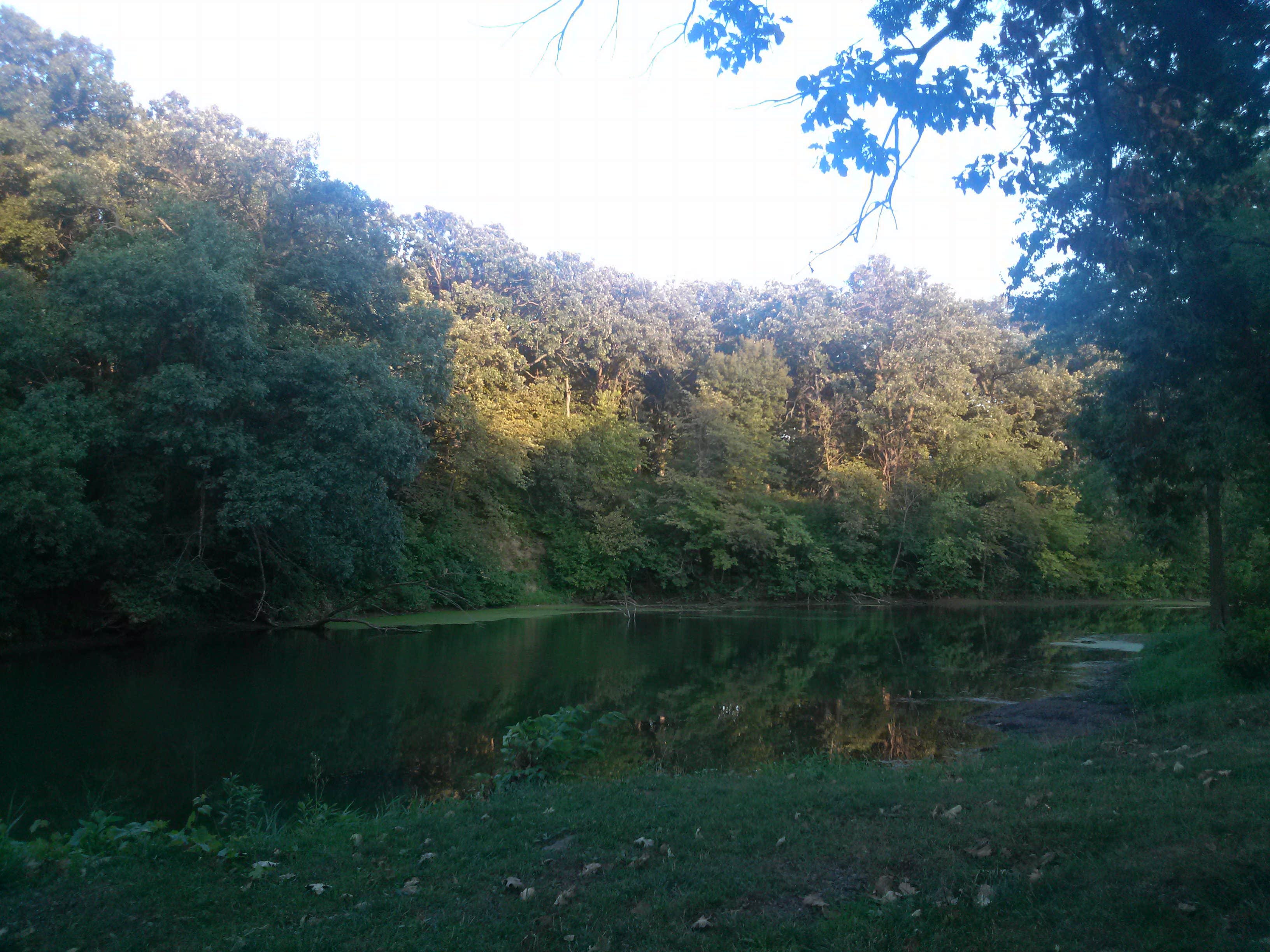 Camper-submitted photo at Viking Lake State Park Campground near Corning, IA