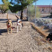 Review photo of Elephant Butte Lake RV Resort by Jeffrey T., October 11, 2021