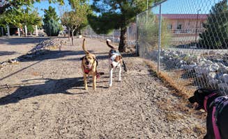 Jeffrey T.'s photo of camping with pets at Elephant Butte Lake RV Resort near Hatch, NM