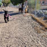 Review photo of Elephant Butte Lake RV Resort by Jeffrey T., October 11, 2021