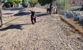 Jeffrey T.'s photo of camping with pets at Elephant Butte Lake RV Resort near Elephant Butte, NM