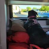 Review photo of Elephant Butte Lake RV Resort by Jeffrey T., October 11, 2021