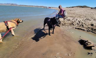 Jeffrey T.'s photo of camping with pets at Elephant Butte Lake RV Resort near Elephant Butte, NM