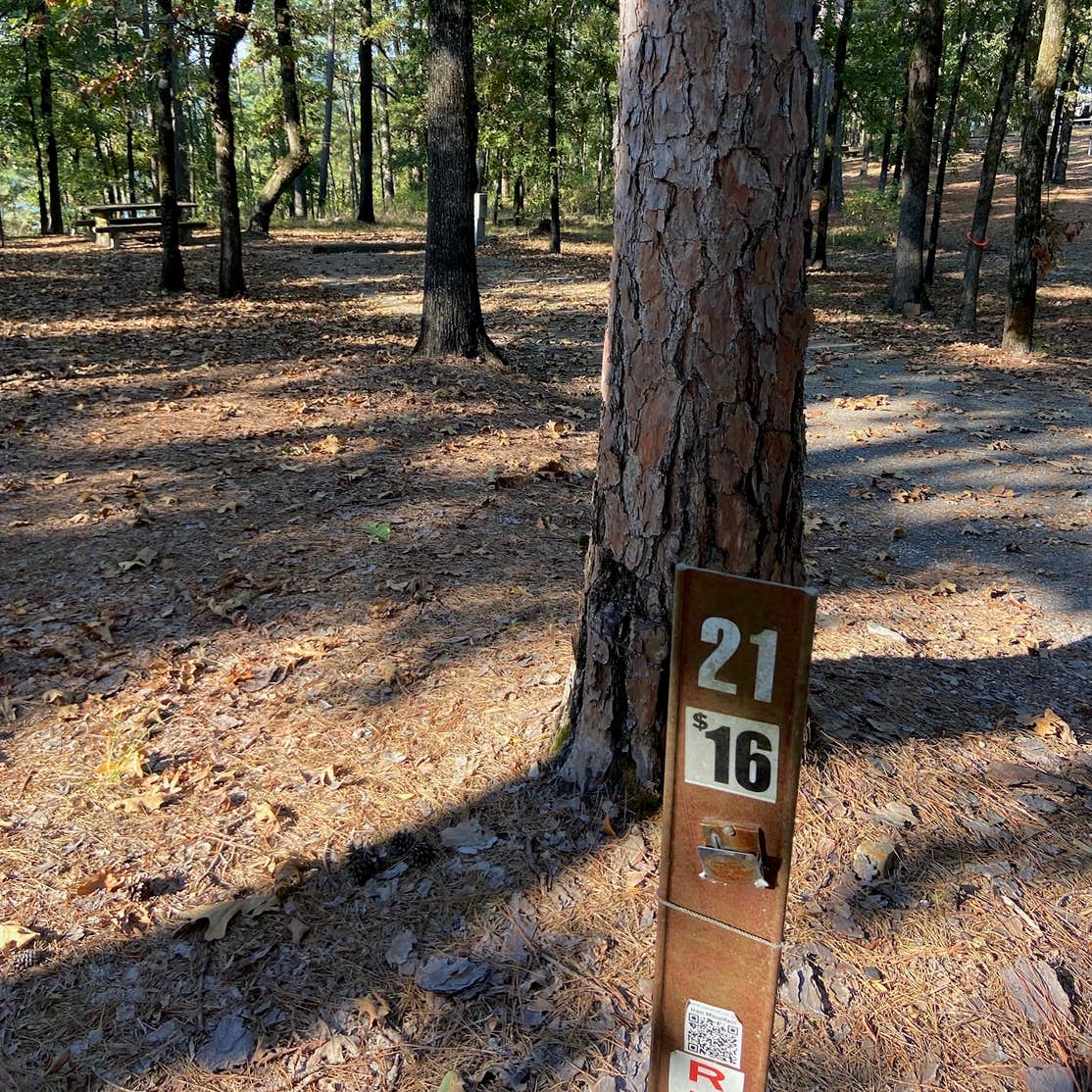 Iron Mountain Camping Arkadelphia, AR The Dyrt