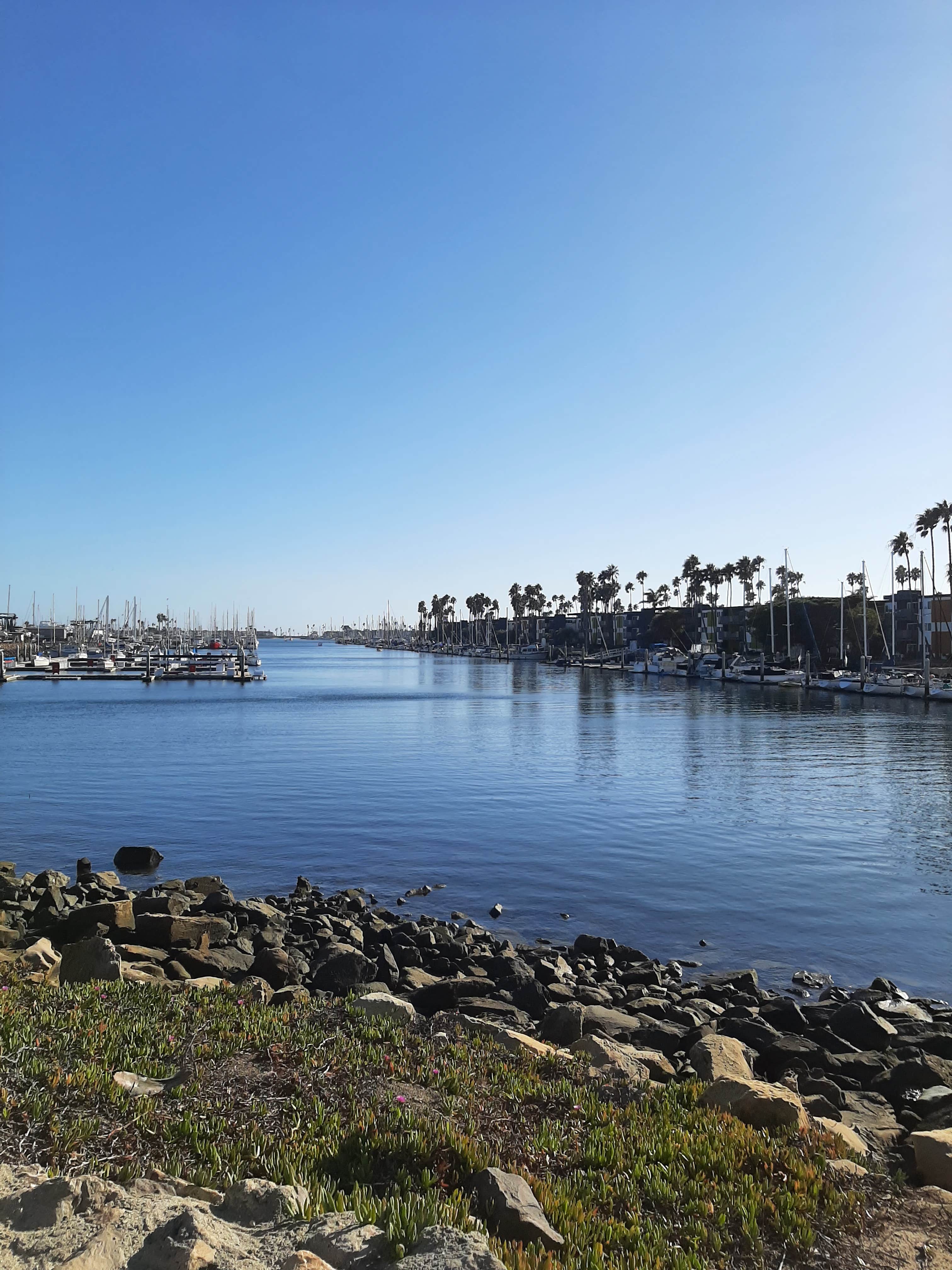 Camper submitted image from Channel Islands Harbor Launch Ramp - 2