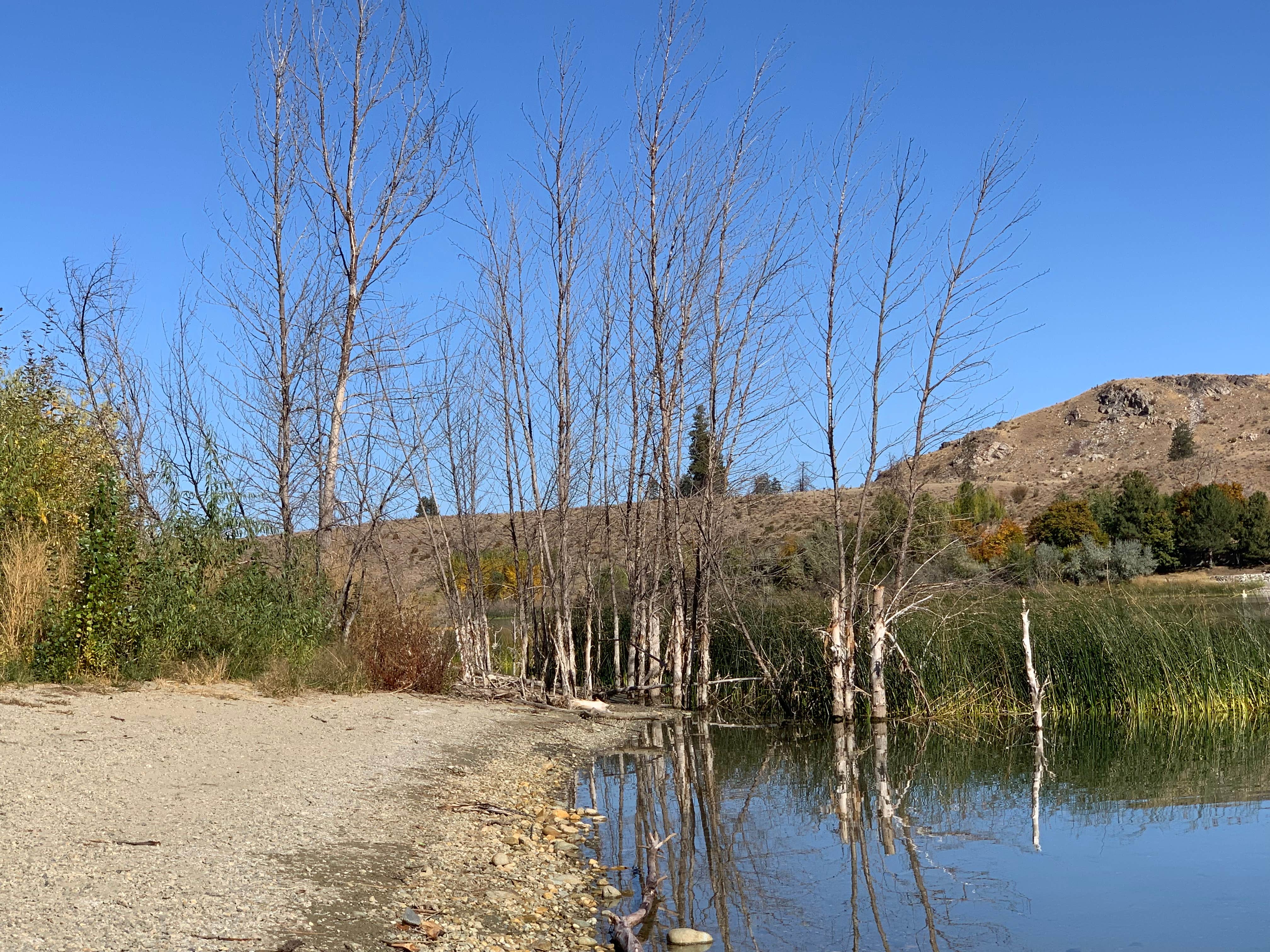 Camper submitted image from Alta Lake State Park Campground - 1