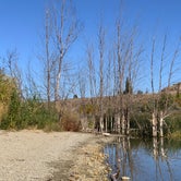 Review photo of Alta Lake State Park by Judy T., October 11, 2021