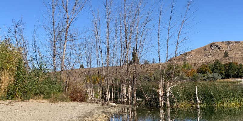 Camper submitted image from Alta Lake State Park Campground
