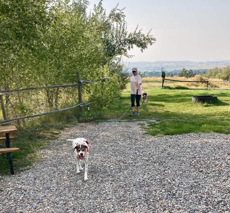 MickandKarla W.'s photo of camping with pets at Sleeping Bear RV Park & Campground near Lander, WY