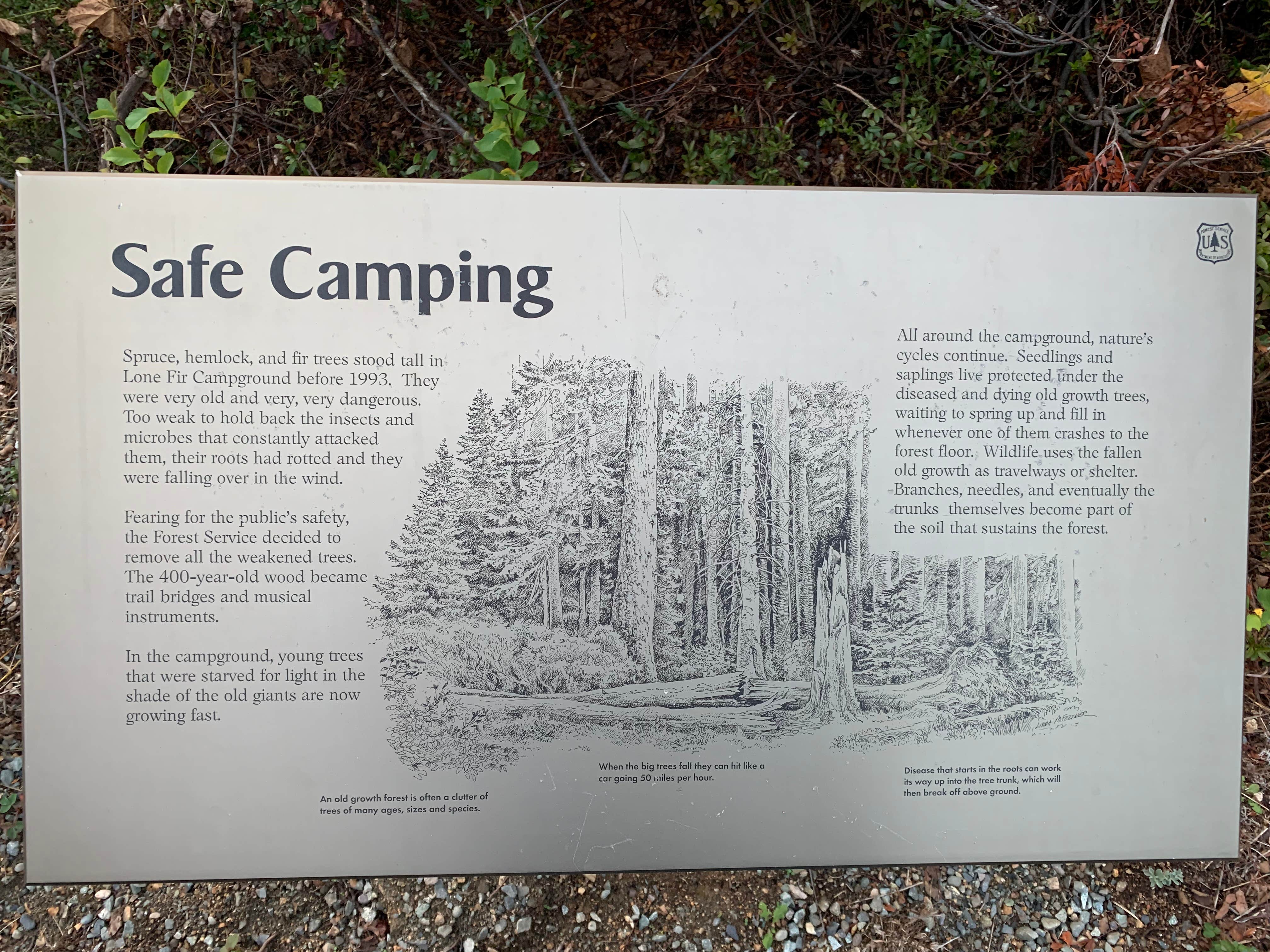 Camper submitted image from Lone Fir Campground - 3