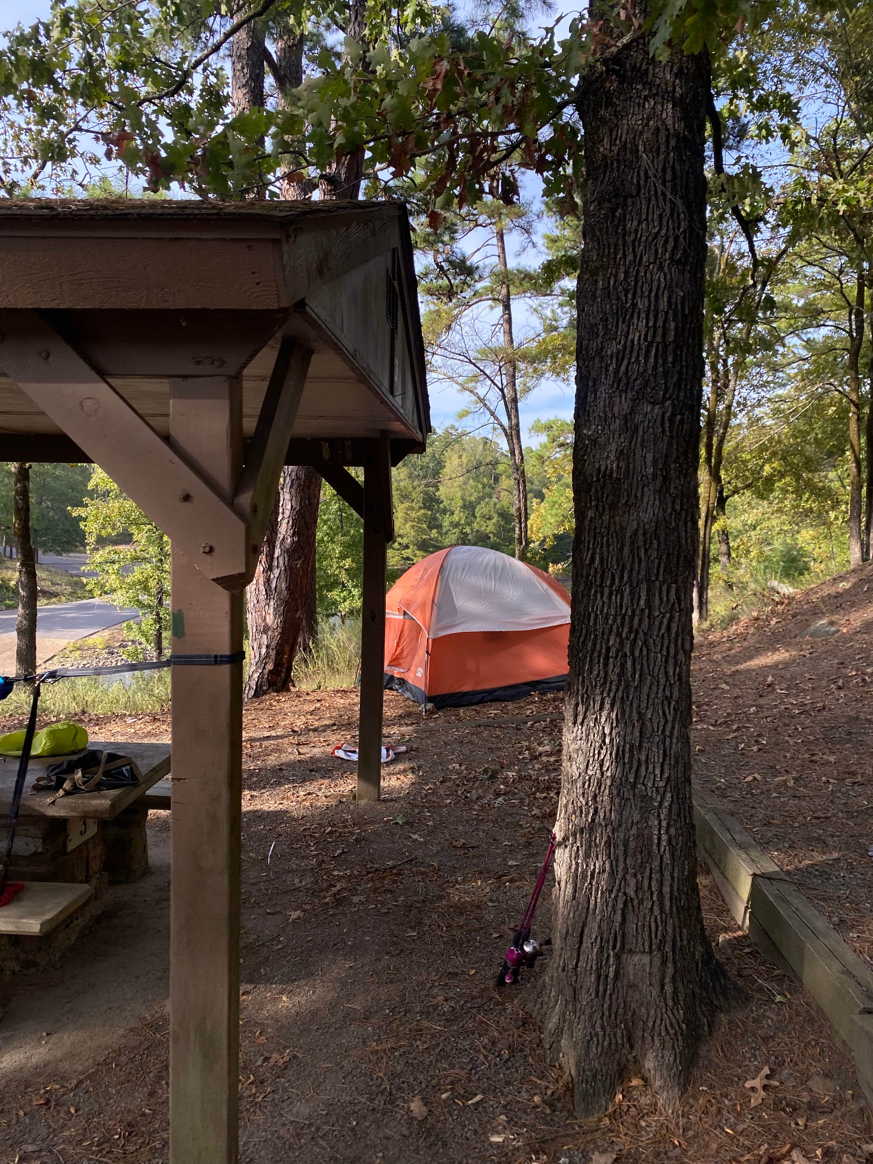 Kelli M.'s photo at River Road near Dardanelle, AR