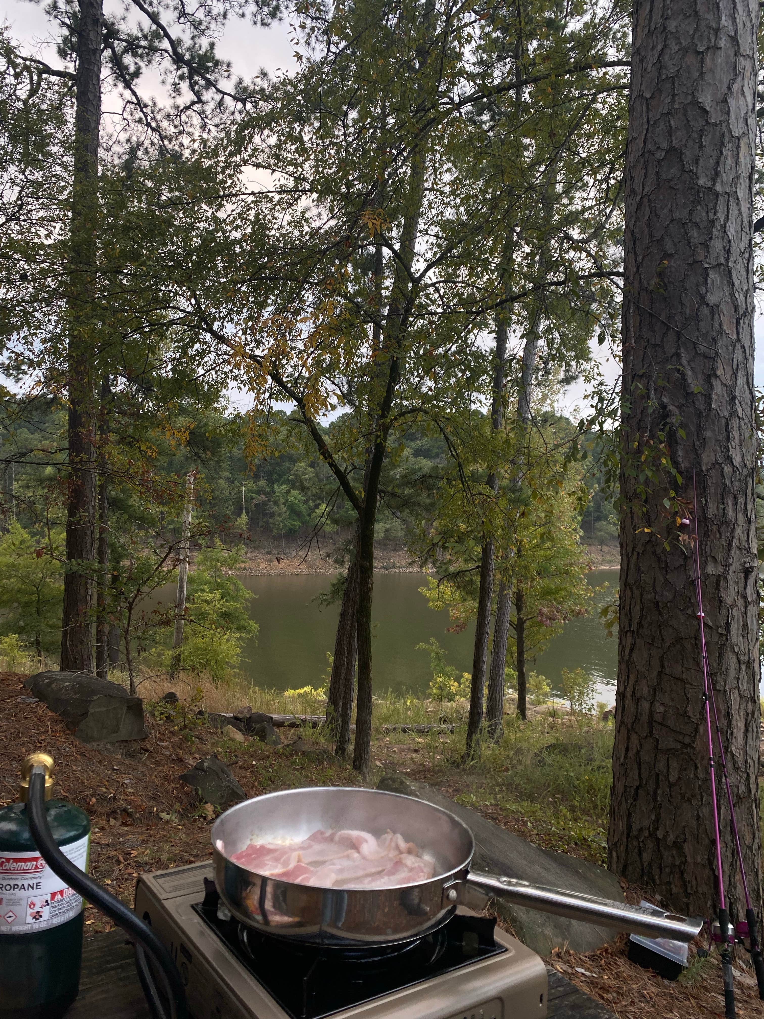 Kelli M.'s photo at River Road near Dardanelle, AR