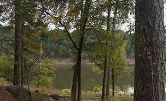 Kelli M.'s photo at River Road near Casa, AR