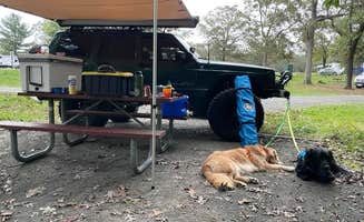 adrian F.'s photo of camping with pets at Lake Fairfax Campground near Clinton, MD
