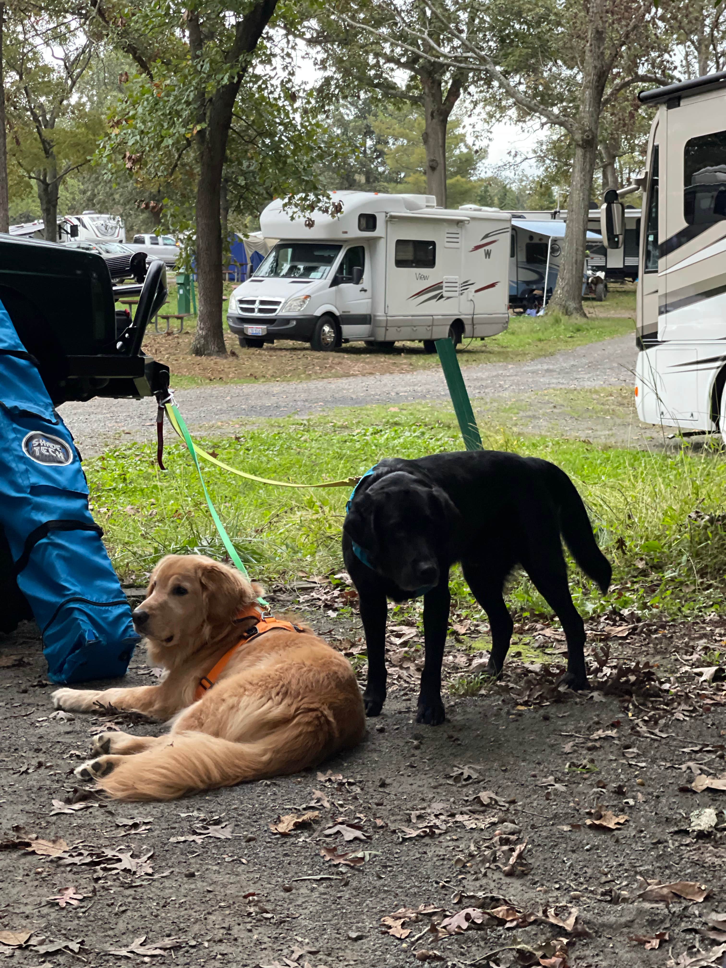 adrian F.'s photo of rv camping at Lake Fairfax Campground near Barnesville, MD