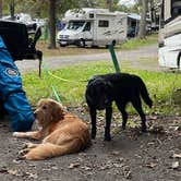 Review photo of Lake Fairfax Campground by adrian F., October 11, 2021