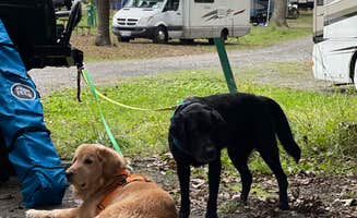 adrian F.'s photo of rv camping at Lake Fairfax Campground near Chantilly, VA