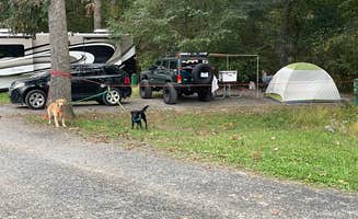adrian F.'s photo at Lake Fairfax Campground near North Brentwood, MD