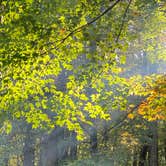 Review photo of Grandfather Mountain Campground by Tracy H., October 11, 2021