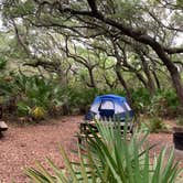 Review photo of Sea Camp Campground — Cumberland Island National Seashore by David S., October 11, 2021