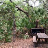 Review photo of Sea Camp Campground — Cumberland Island National Seashore by David S., October 11, 2021