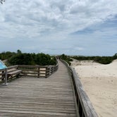 Review photo of Sea Camp Campground — Cumberland Island National Seashore by David S., October 11, 2021