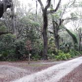 Review photo of Sea Camp Campground — Cumberland Island National Seashore by David S., October 11, 2021