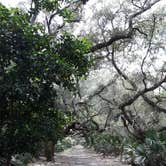 Review photo of Sea Camp Campground — Cumberland Island National Seashore by David S., October 11, 2021