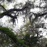 Review photo of Sea Camp Campground — Cumberland Island National Seashore by David S., October 11, 2021