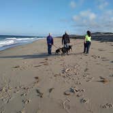 Review photo of Adventure Bound Cape Cod: Horton's Campground by Melissa , October 11, 2021
