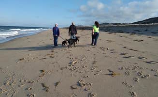Melissa's photo of camping with pets at Adventure Bound Cape Cod: Horton's Campground in Massachusetts