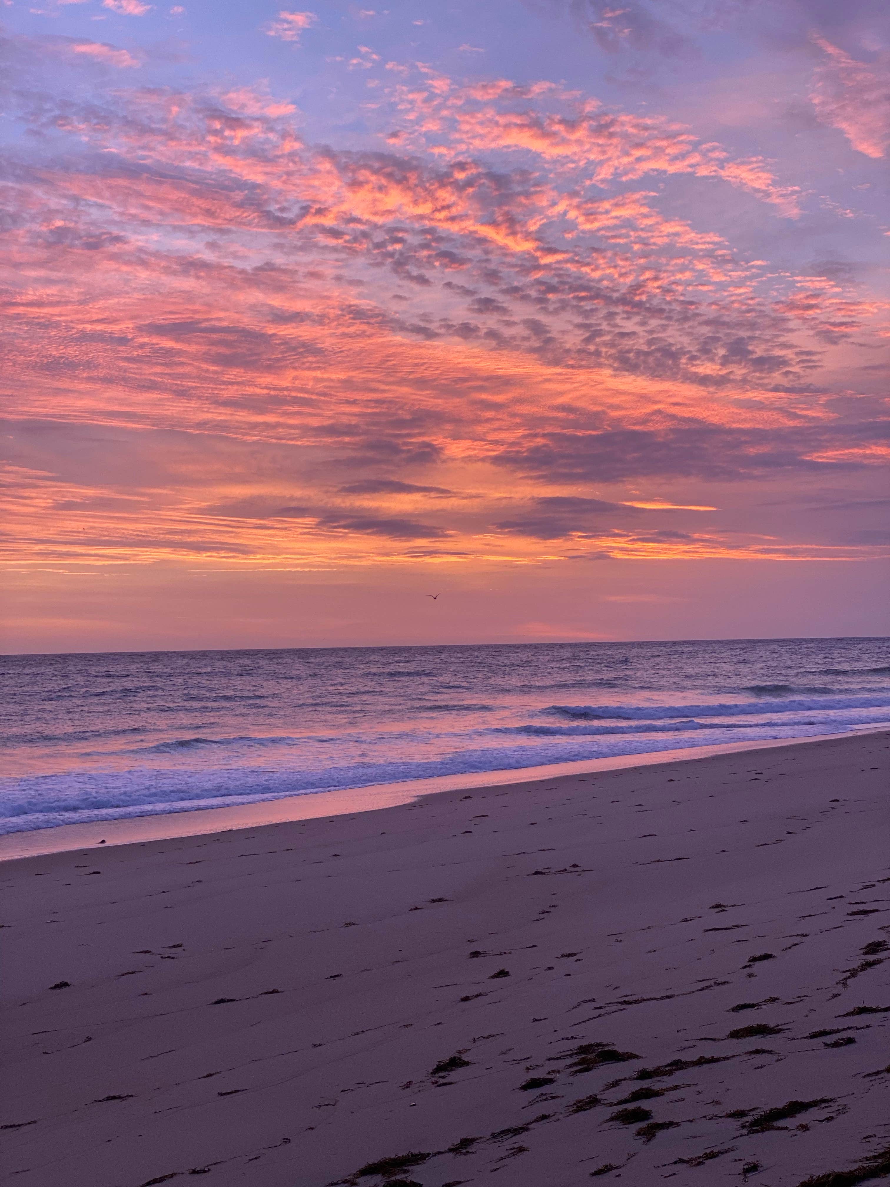 Camper submitted image from Adventure Bound Cape Cod: Horton's Campground - 2