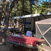 Review photo of Adventure Bound Cape Cod: Horton's Campground by Melissa , October 11, 2021