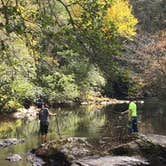 Review photo of Cades Cove Campground by Gail C., July 3, 2018