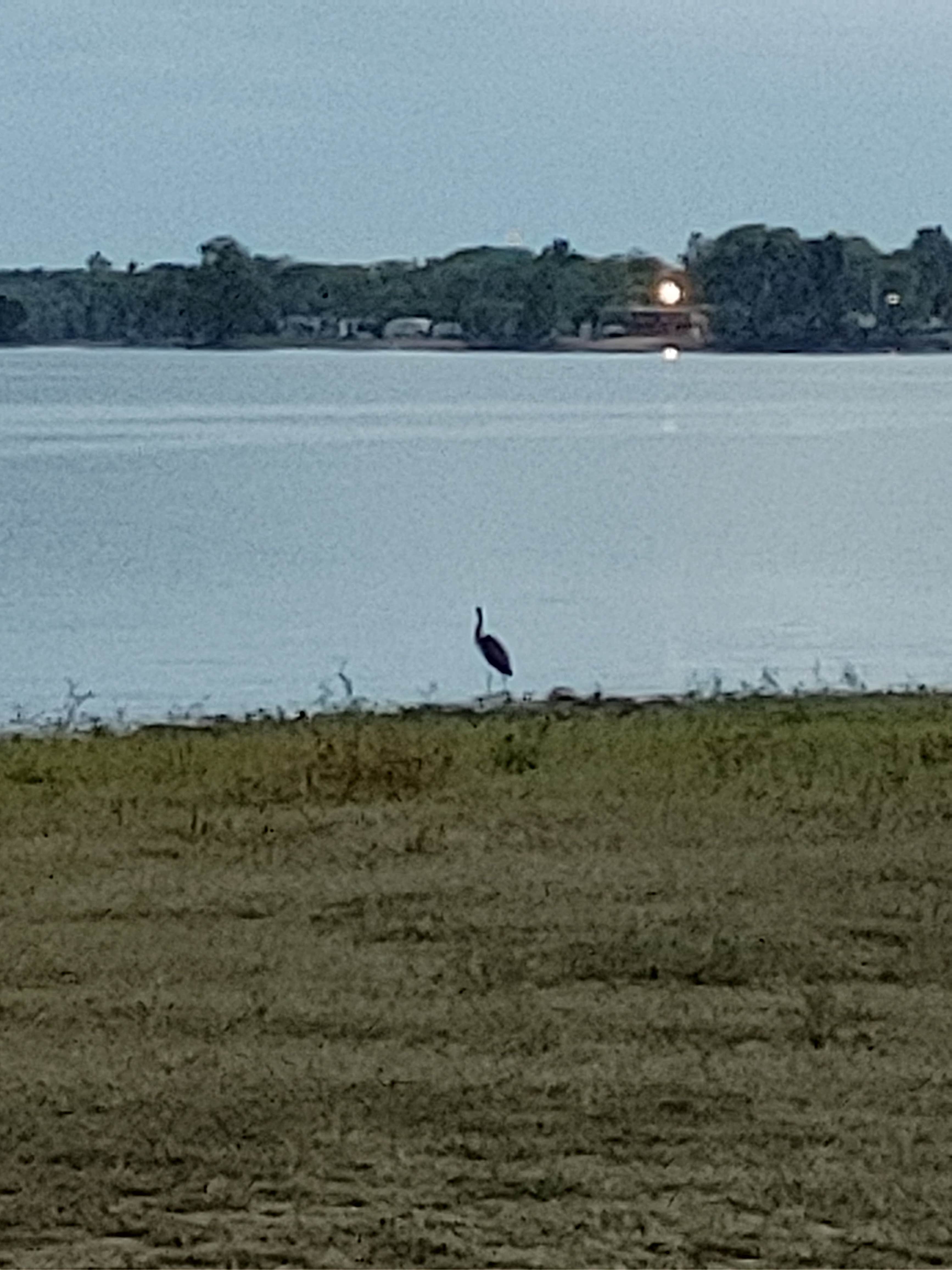 Camper-submitted photo at Bernice Area — Grand Lake State Park near Disney, OK