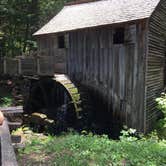 Review photo of Cades Cove Campground by Gail C., July 3, 2018