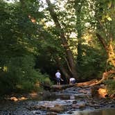 Review photo of Cades Cove Campground by Gail C., July 3, 2018