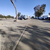 Review photo of Almond Tree Oasis RV Park by Joe B., October 11, 2021