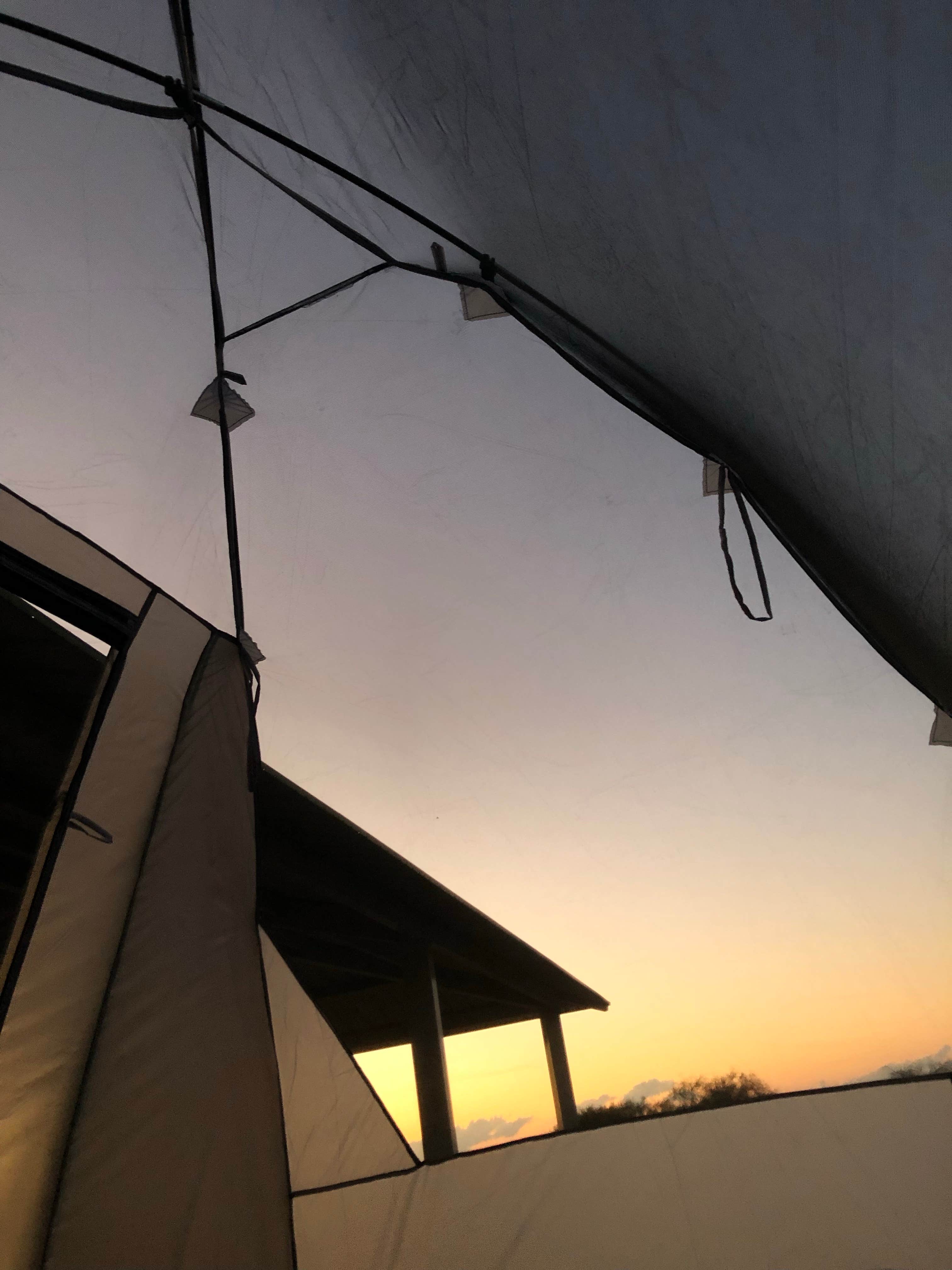Camper submitted image from San Pedro Campground — Amistad National Recreation Area - 4