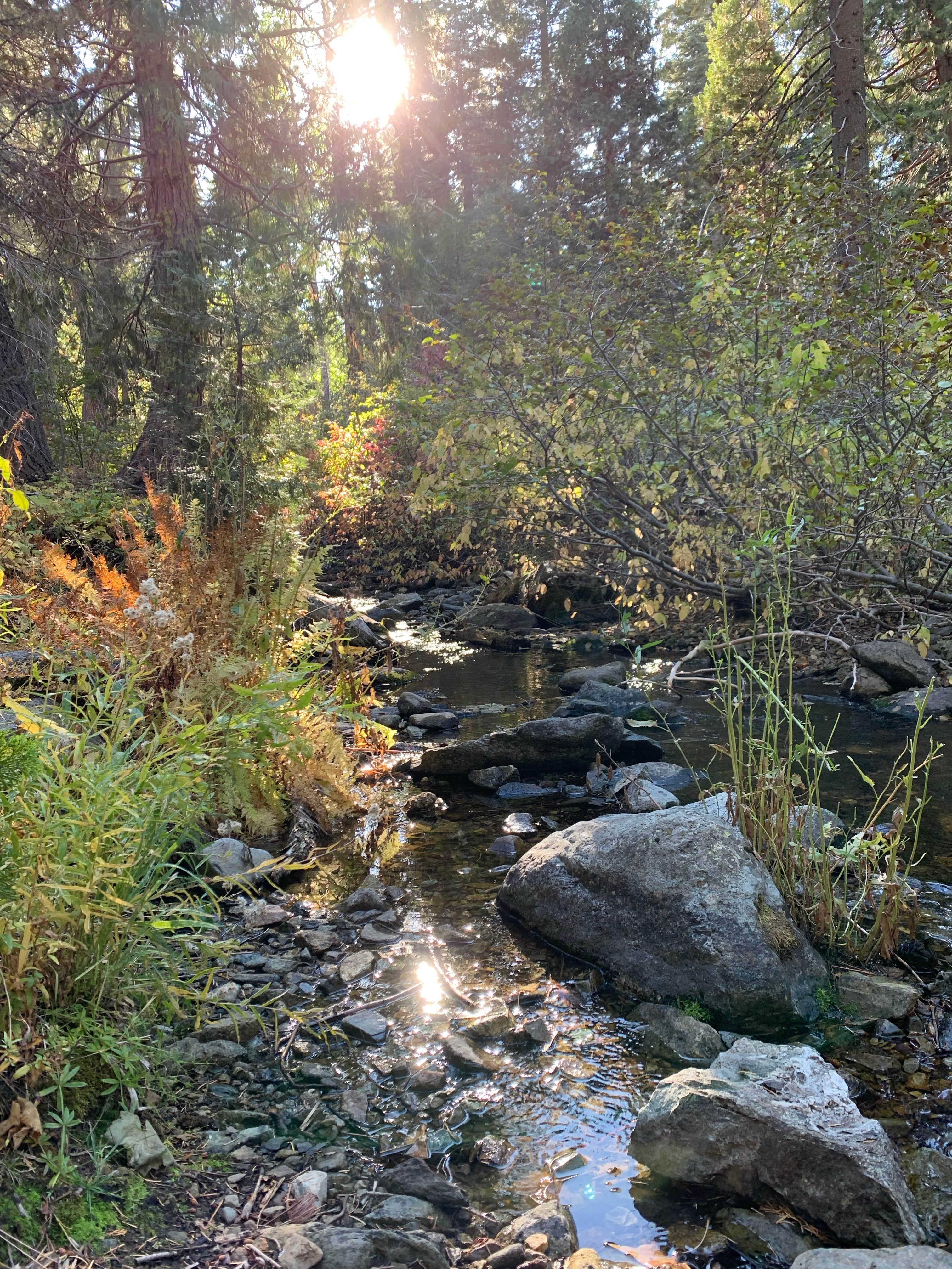 Camper submitted image from Berger - 3