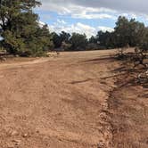 Review photo of Sunset Pass Dispersed by Will M., October 11, 2021