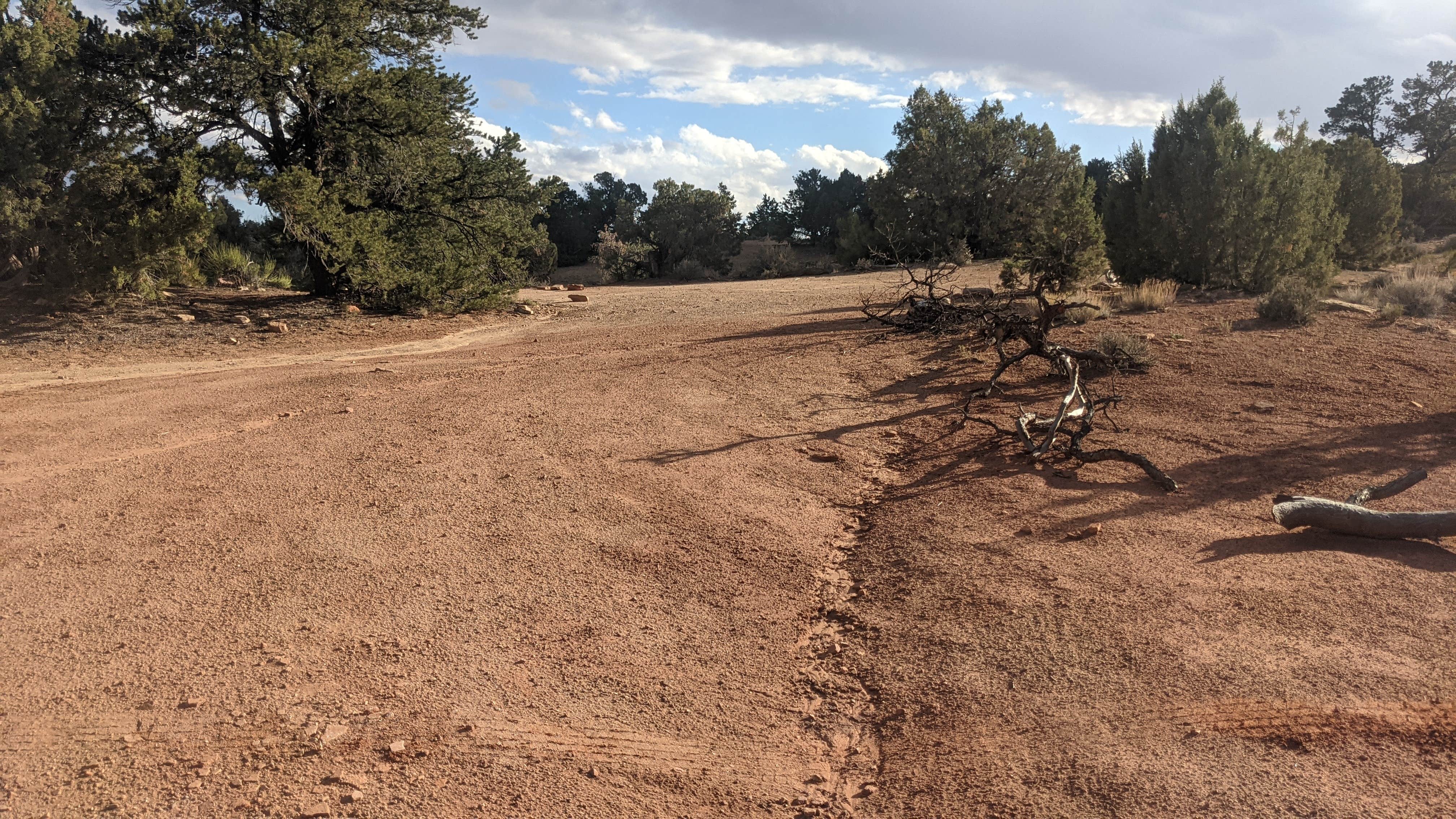 Camper submitted image from Sunset Pass Dispersed - 1