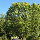 Review photo of Cades Cove Campground by Gail C., July 3, 2018