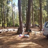 Review photo of Goat Meadow - Dispersed Camp Site by Hannah , October 11, 2021