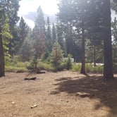 Review photo of Goat Meadow - Dispersed Camp Site by Hannah , October 11, 2021