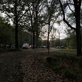 Review photo of Mississippi Palisades State Park Campground by Mike F., October 11, 2021
